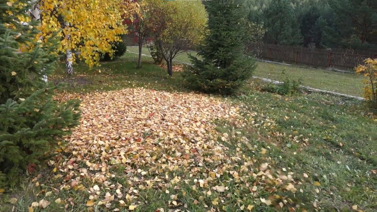 https://sergiev-posad.mslandshaft.ru/storage/app/uploads/public/642/ac5/f22/642ac5f2293e2935715739.jpg