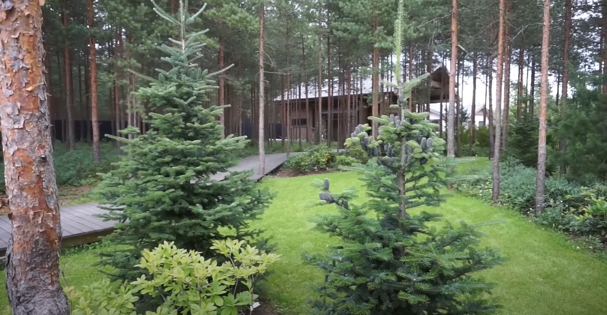 https://sergiev-posad.mslandshaft.ru/storage/app/uploads/public/642/bbc/bba/642bbcbba5df3508429794.png
